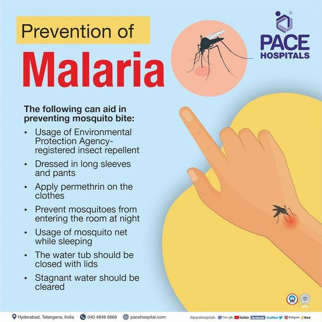 Malaria mosquito deals bite